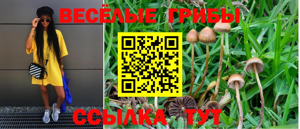 Псилоцибиновые грибы MAGIC MUSHROOMS Наро-Фоминск
