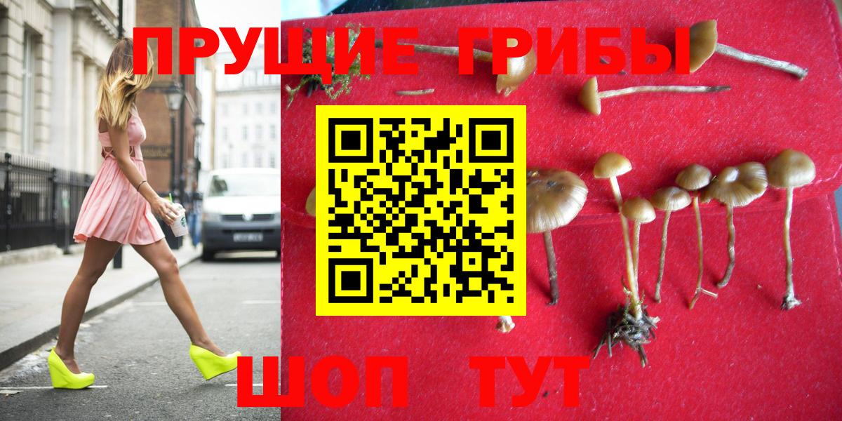 Галлюциногенные грибы MAGIC MUSHROOMS  Вход с VPN  купить наркоту  Наро-Фоминск 